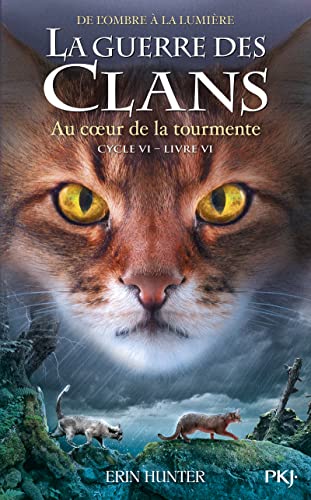 Au coeur de la tourmente T.6