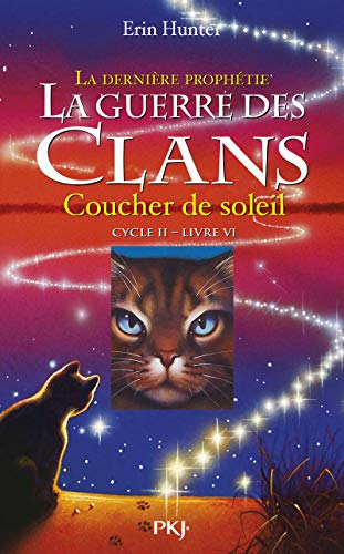 Coucher de soleil T.6