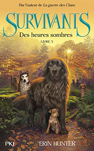 Des heures sombres T.3