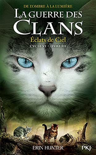 Eclats de ciel T.3