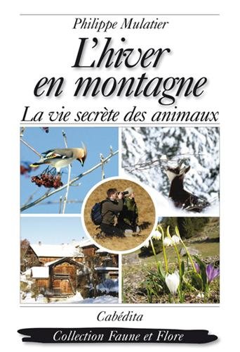 L'Hiver en montagne