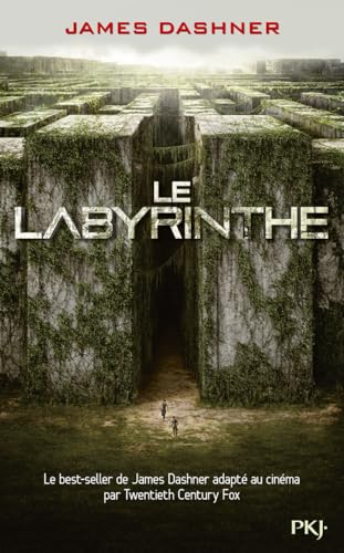Le Labyrinthe T.1