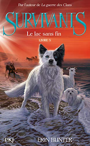 Le Lac sans fin T.5