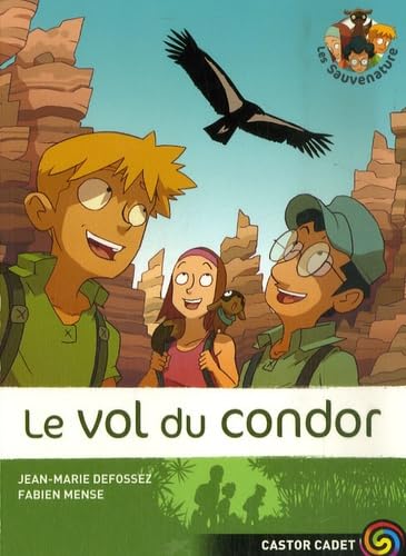Le Vol du condor