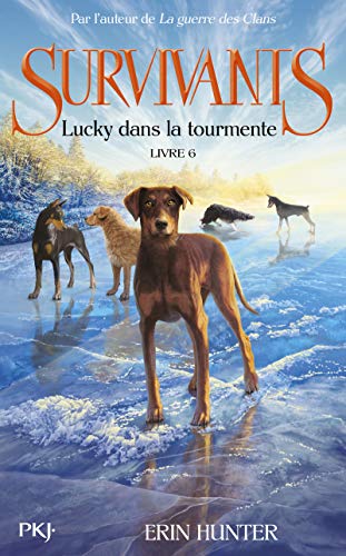 Lucky dans la tourmente T.6