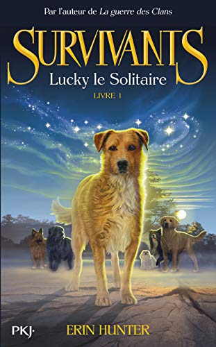 Lucky le solitaire T.1