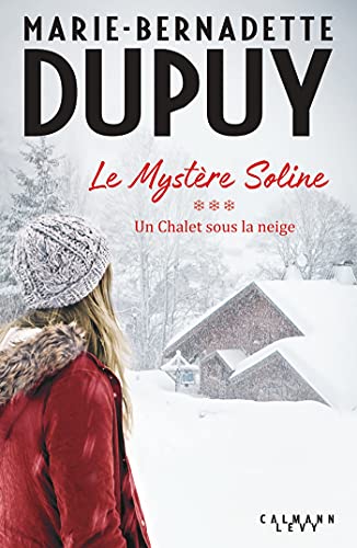 Un chalet sous la neige T.3